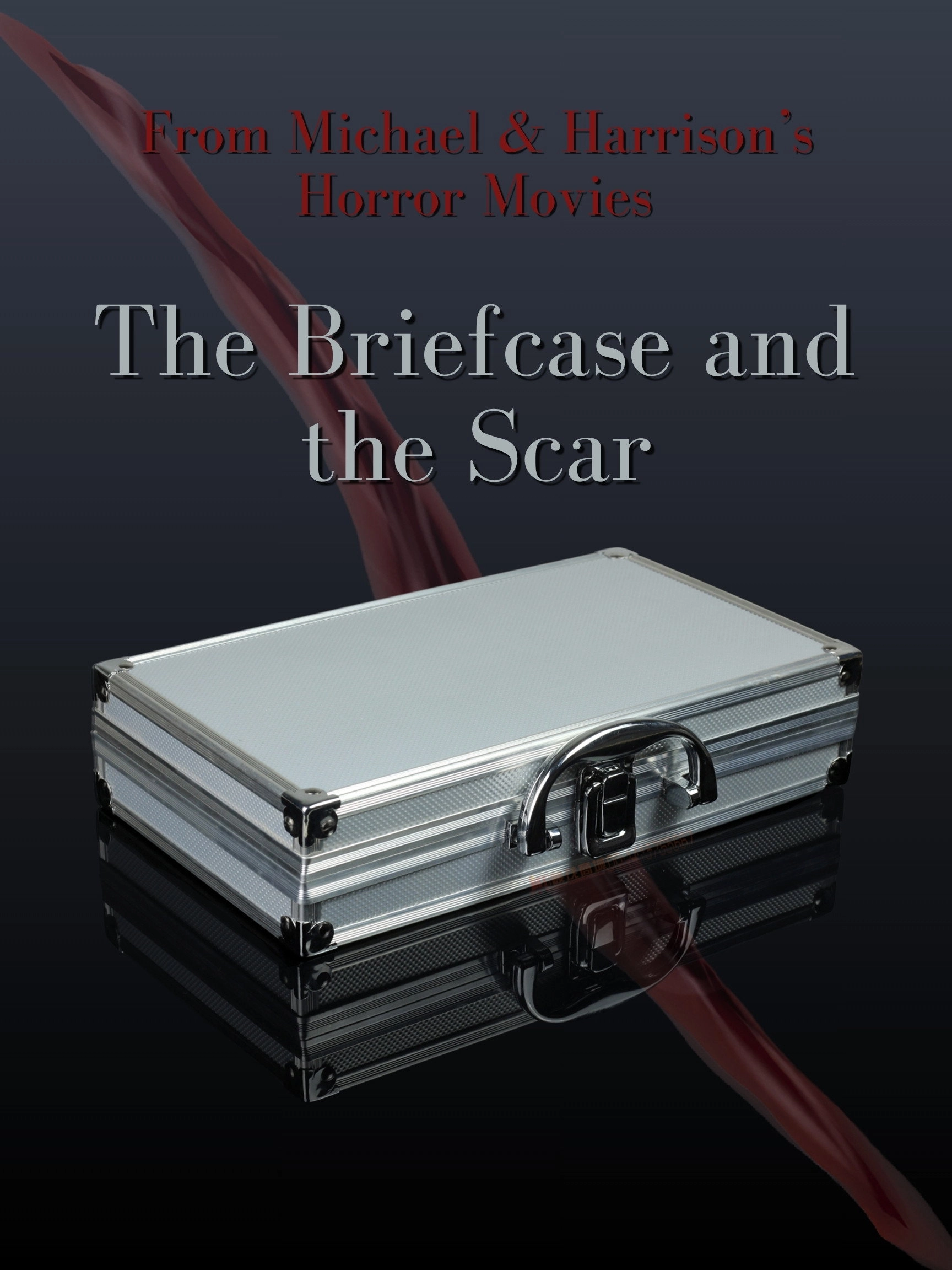 The Briefcase and the Scar