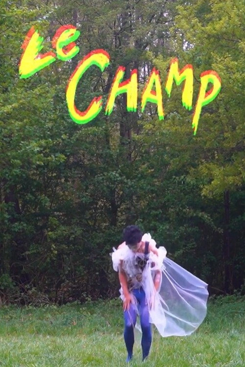 Le champ