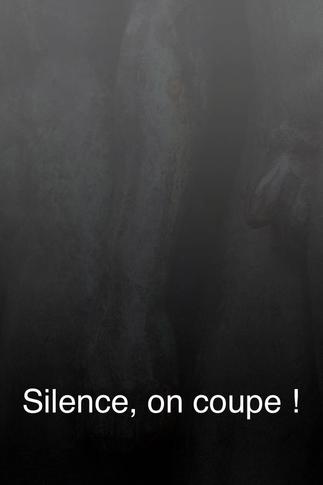 Silence, on coupe !