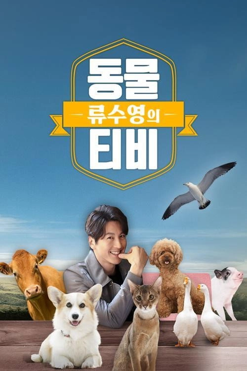 류수영의 동물티비