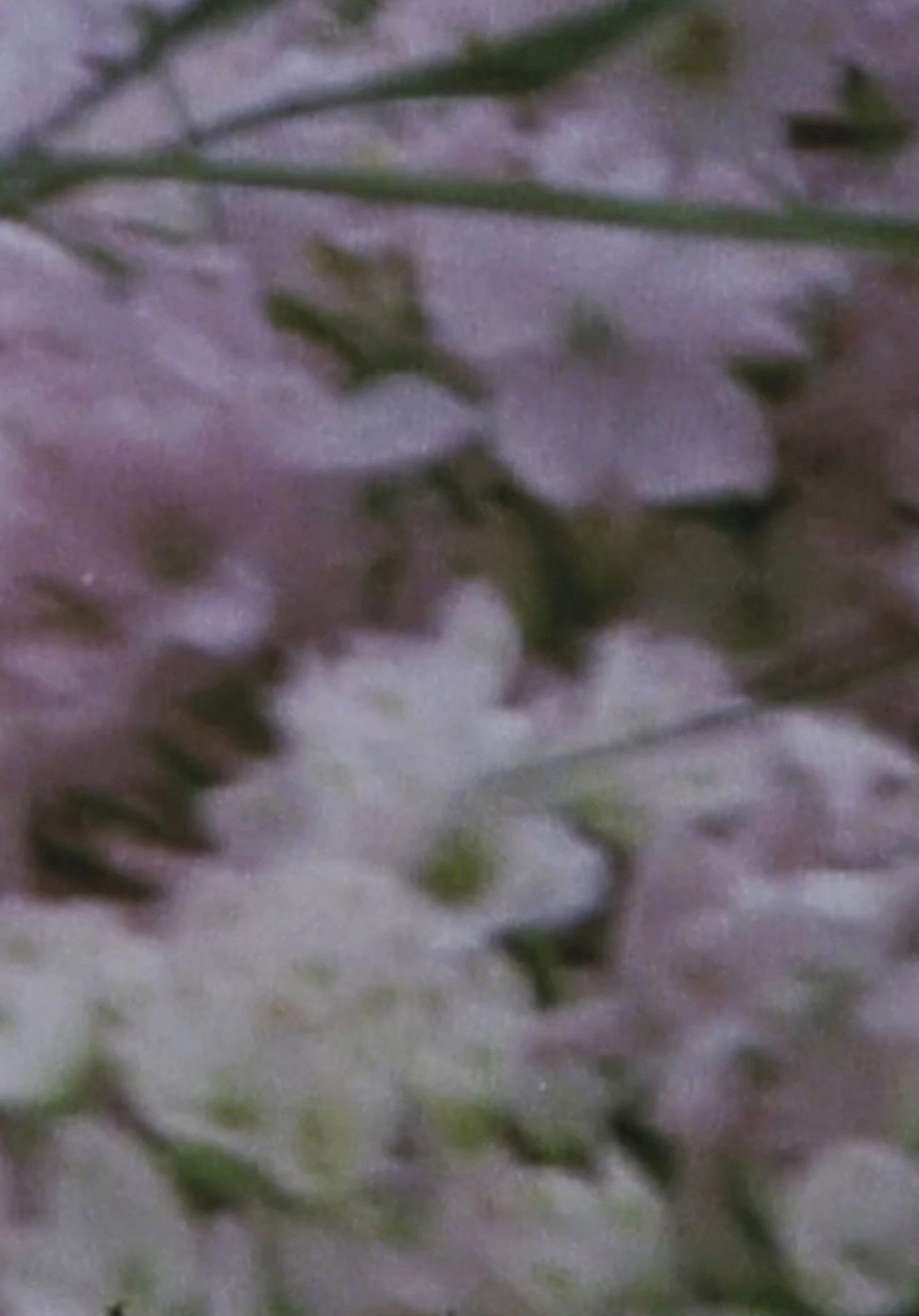 August