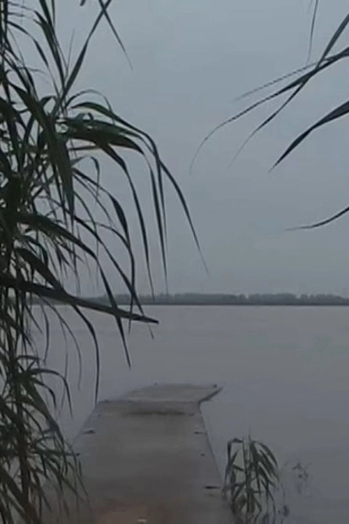 Tongjing