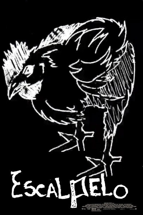 Escalpelo