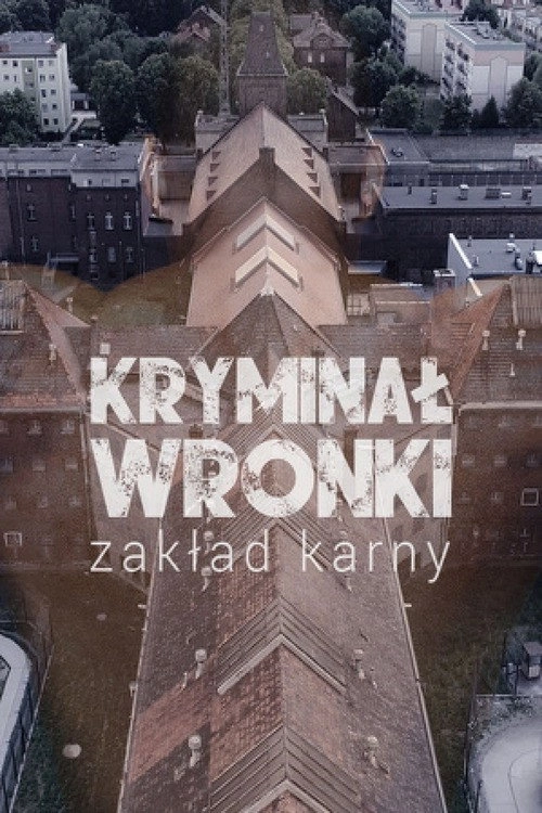 Kryminał Wronki