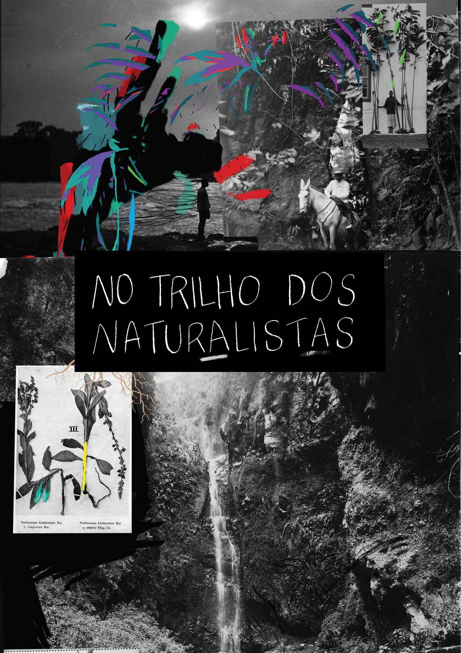 Tracking the Naturalists