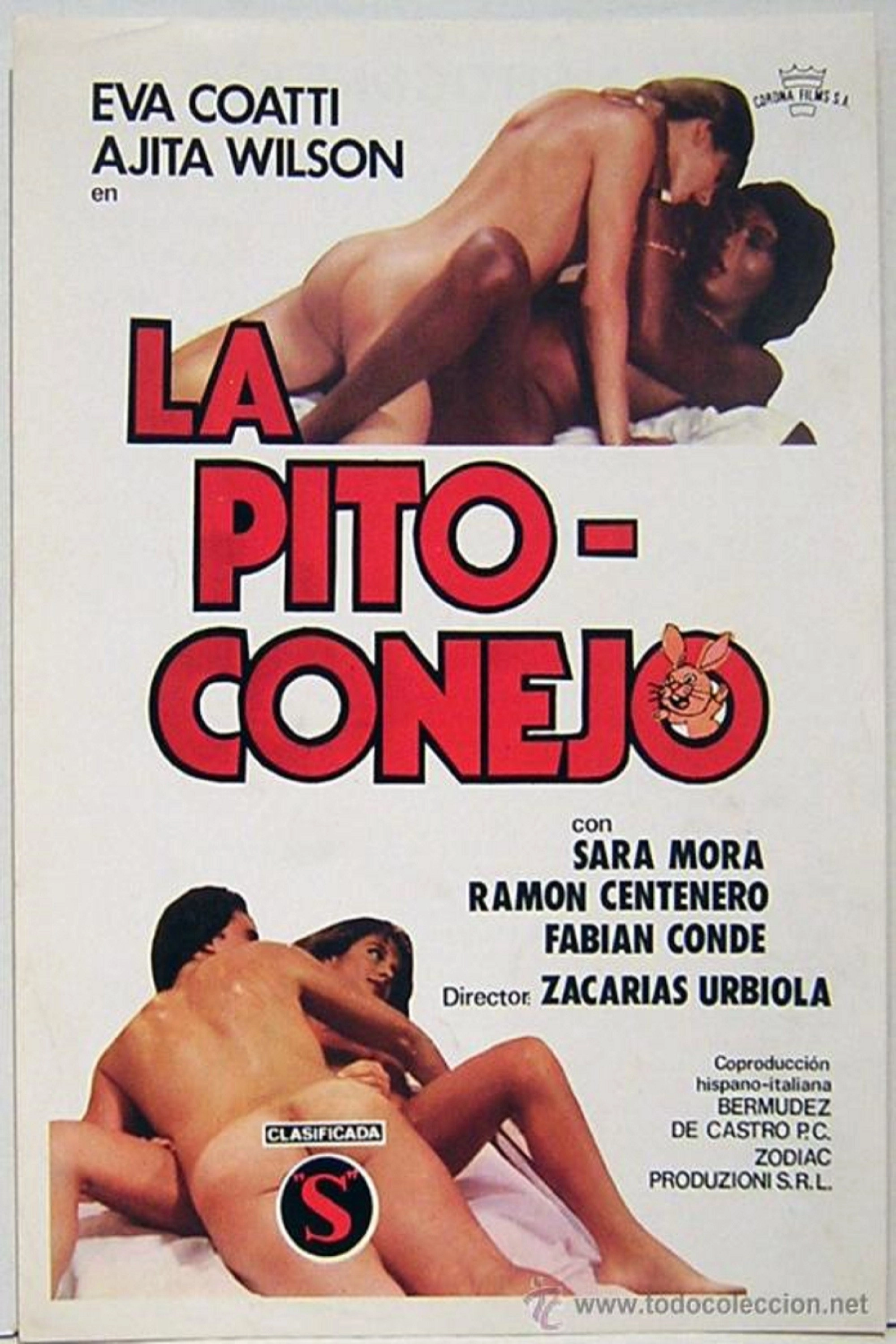La Pito-conejo