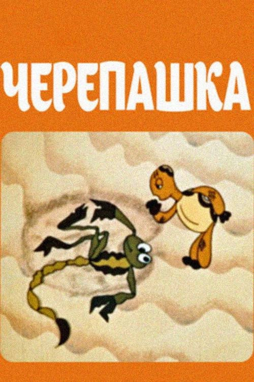 Turtle