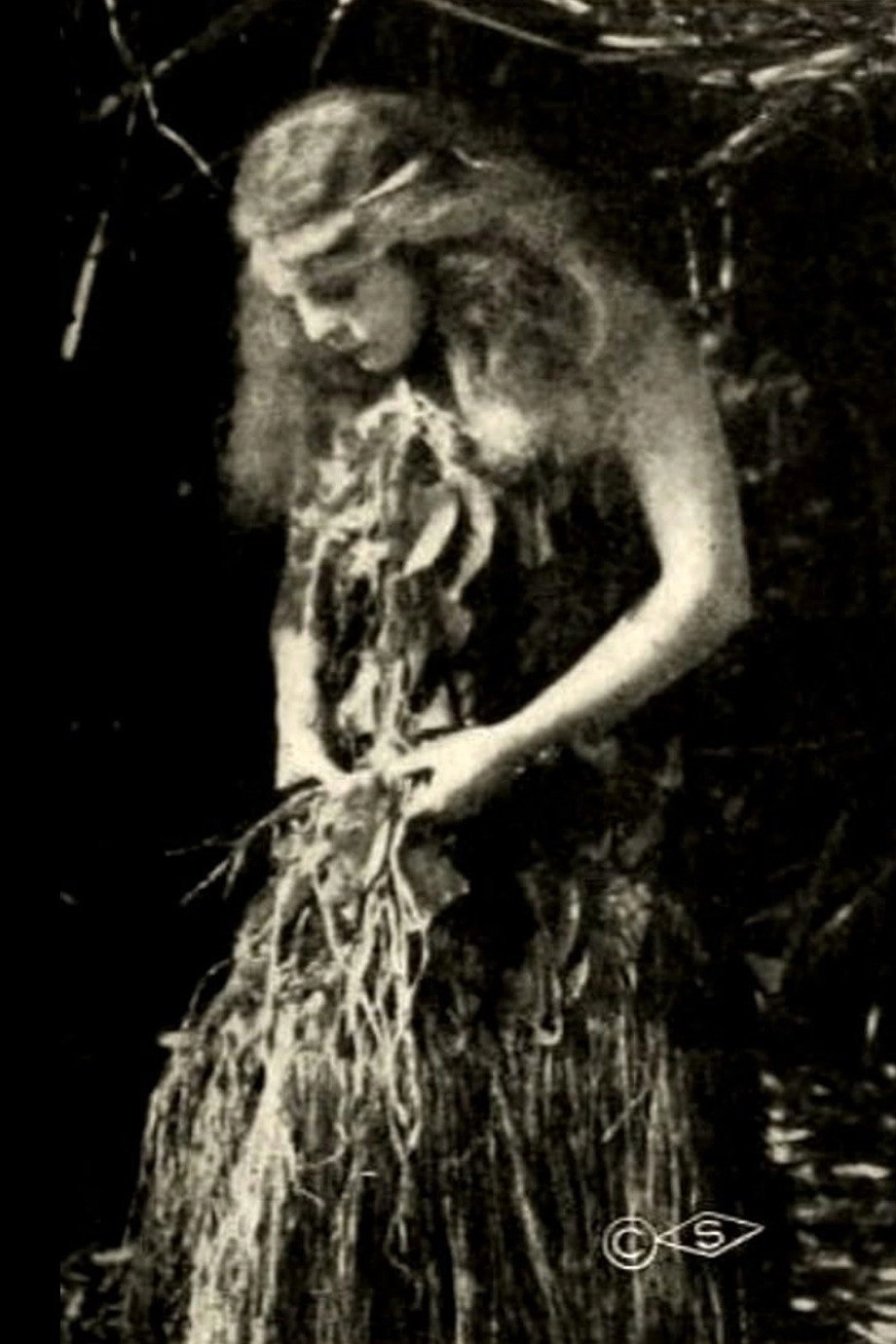 The Royal Slave