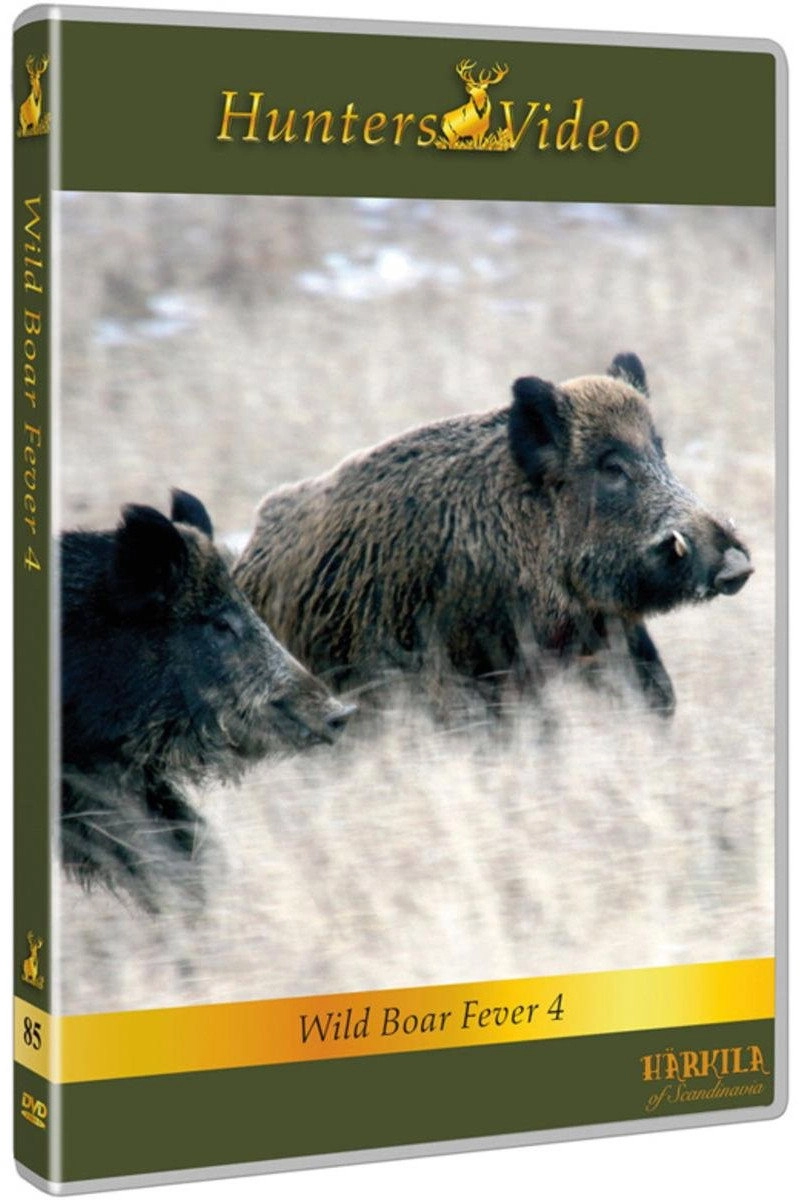 Wild Boar Fever 4