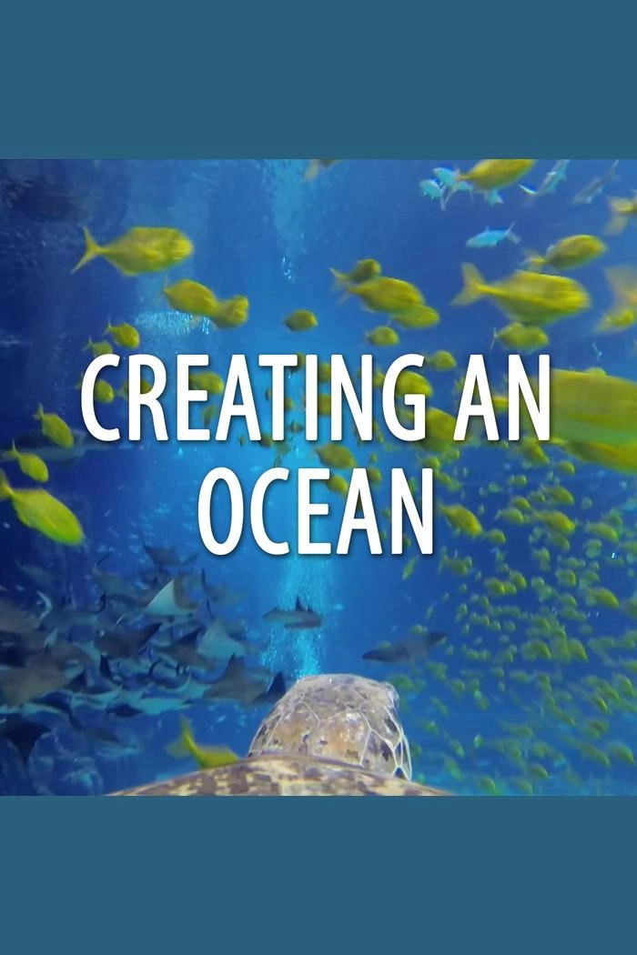 Creating An Ocean