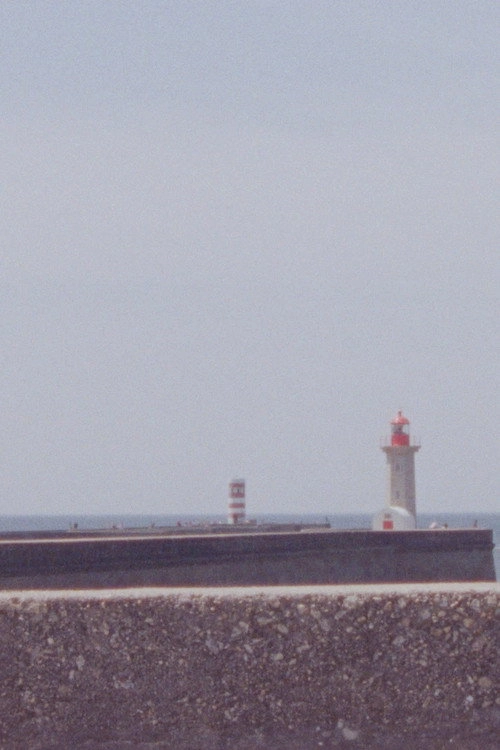 The Mariner
