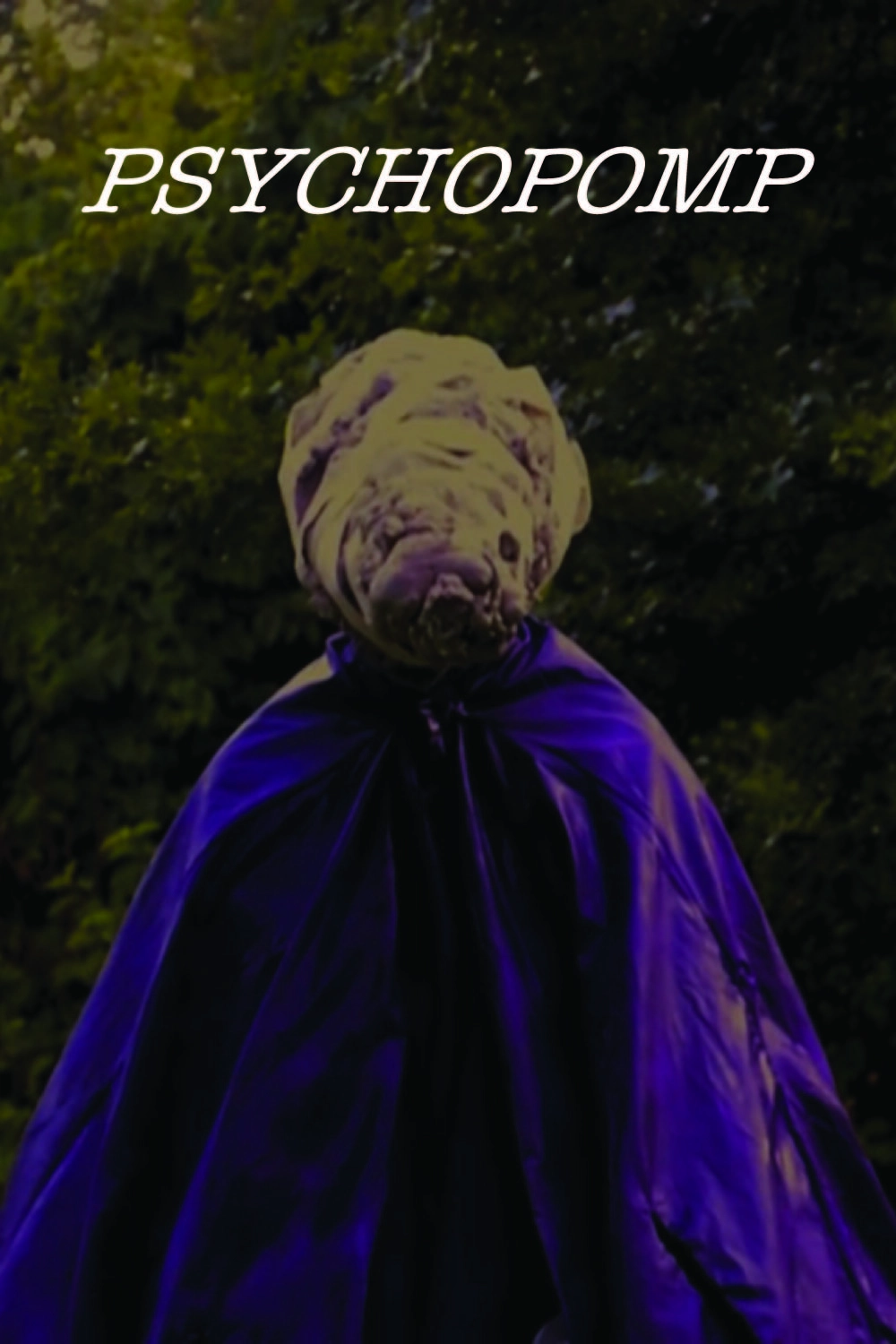 Psychopomp