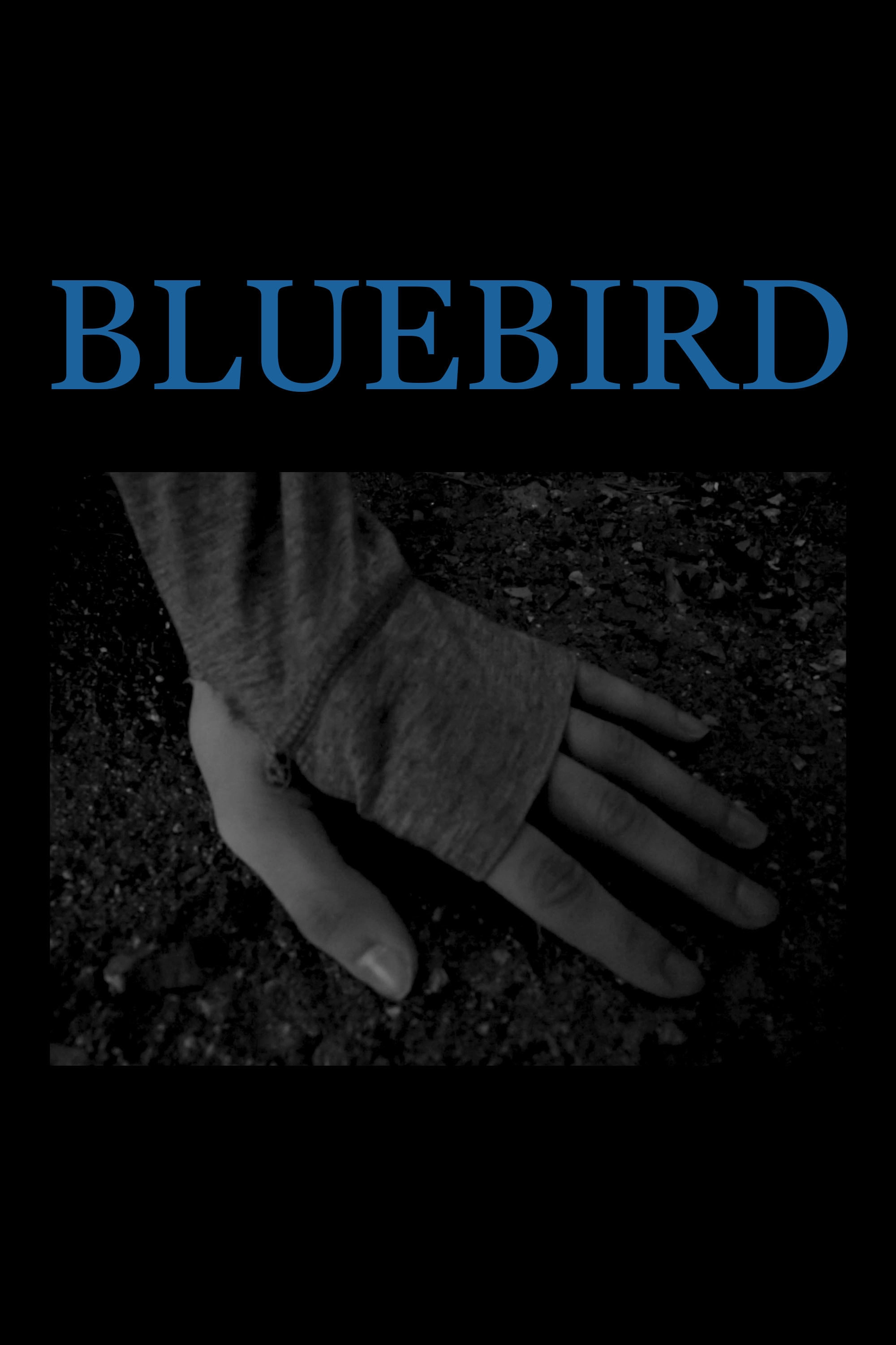 Bluebird