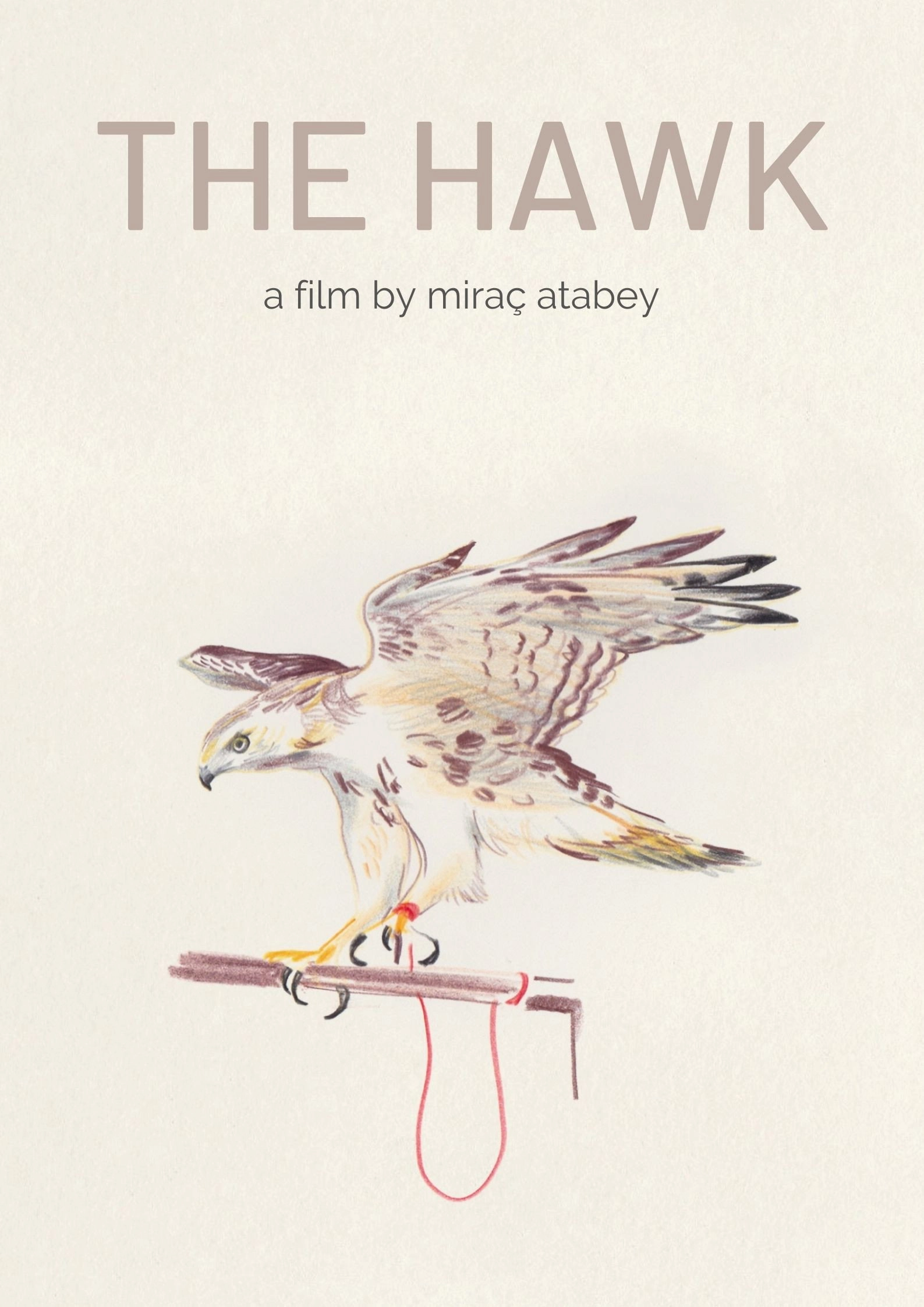 The Hawk