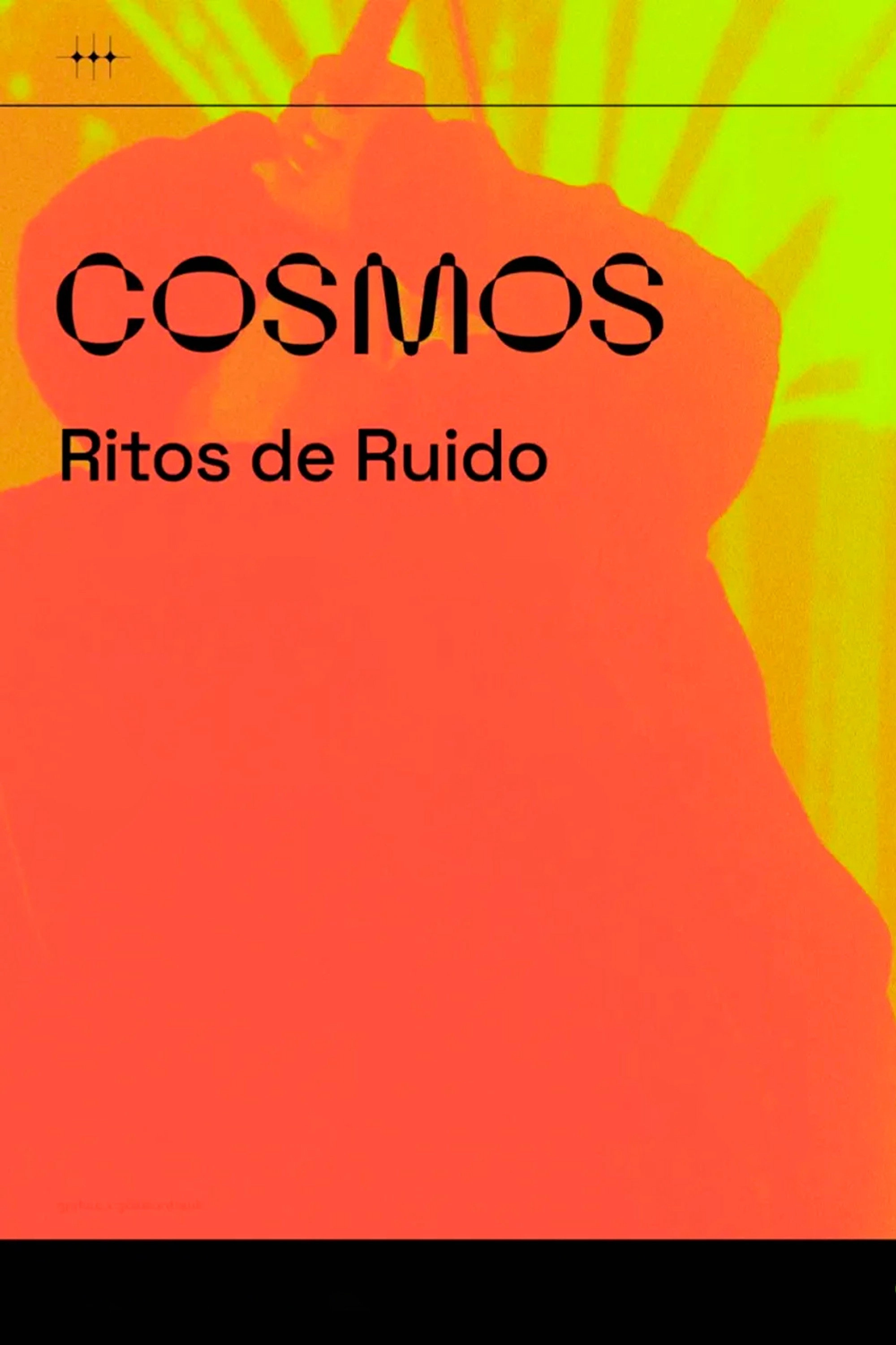 Ritos de ruido