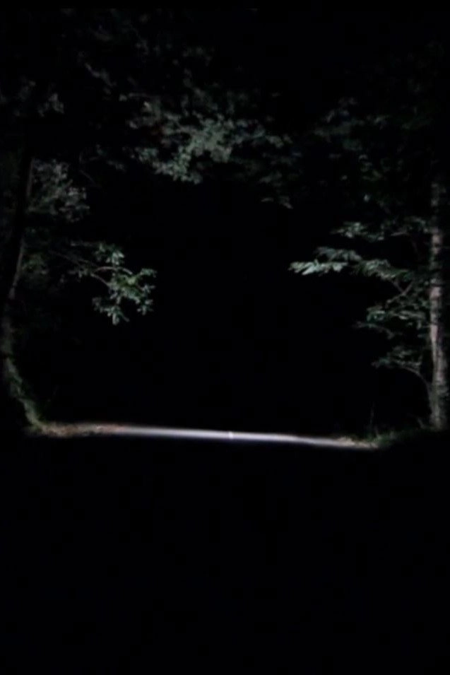 Inertia