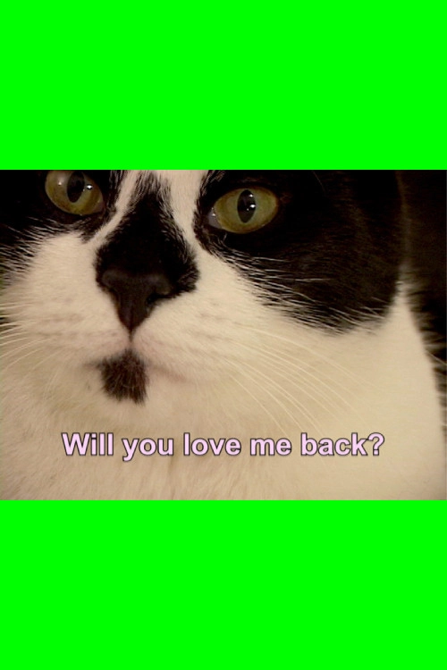 Valentine for Perfect Strangers