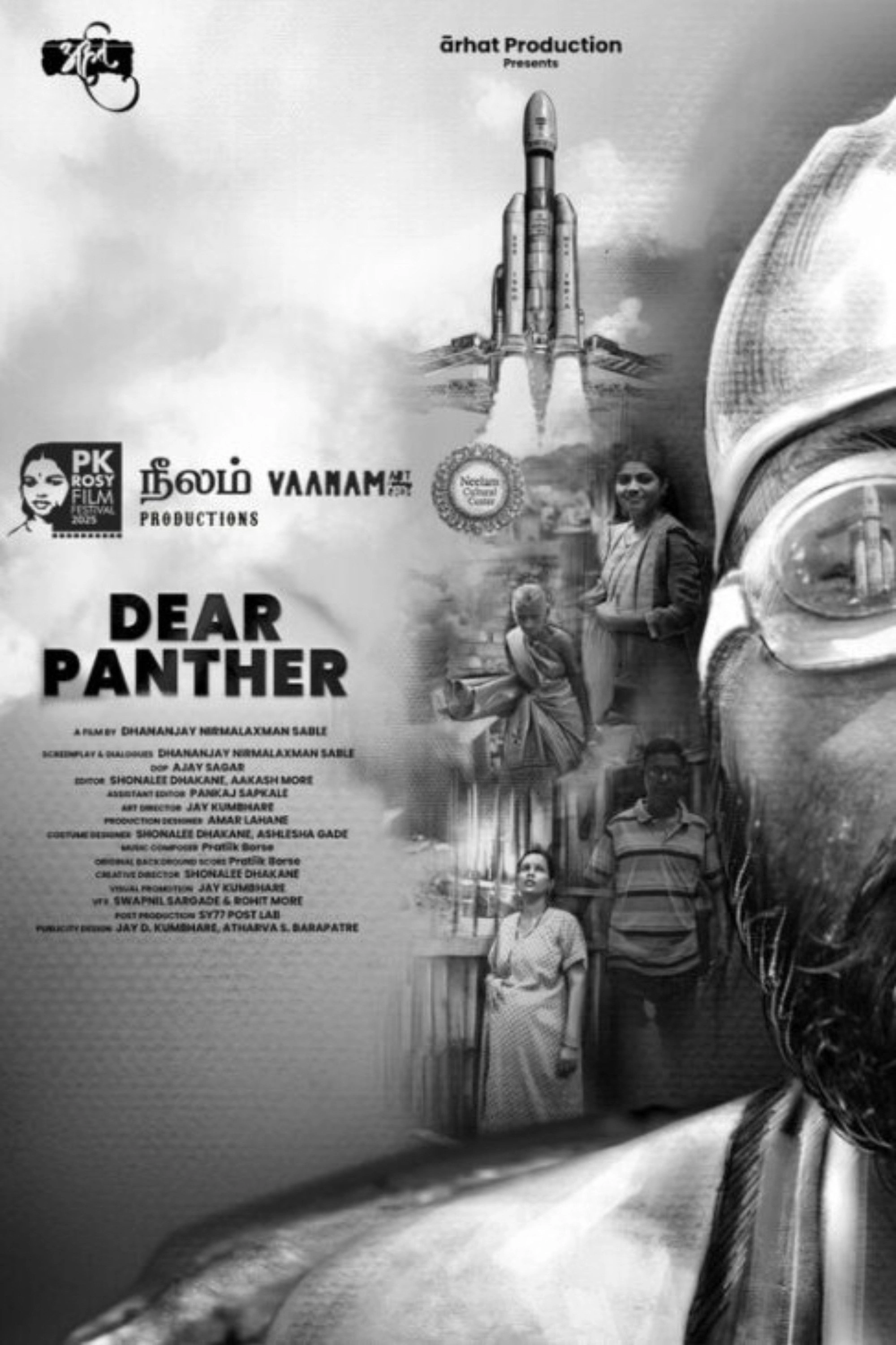 Der Panther