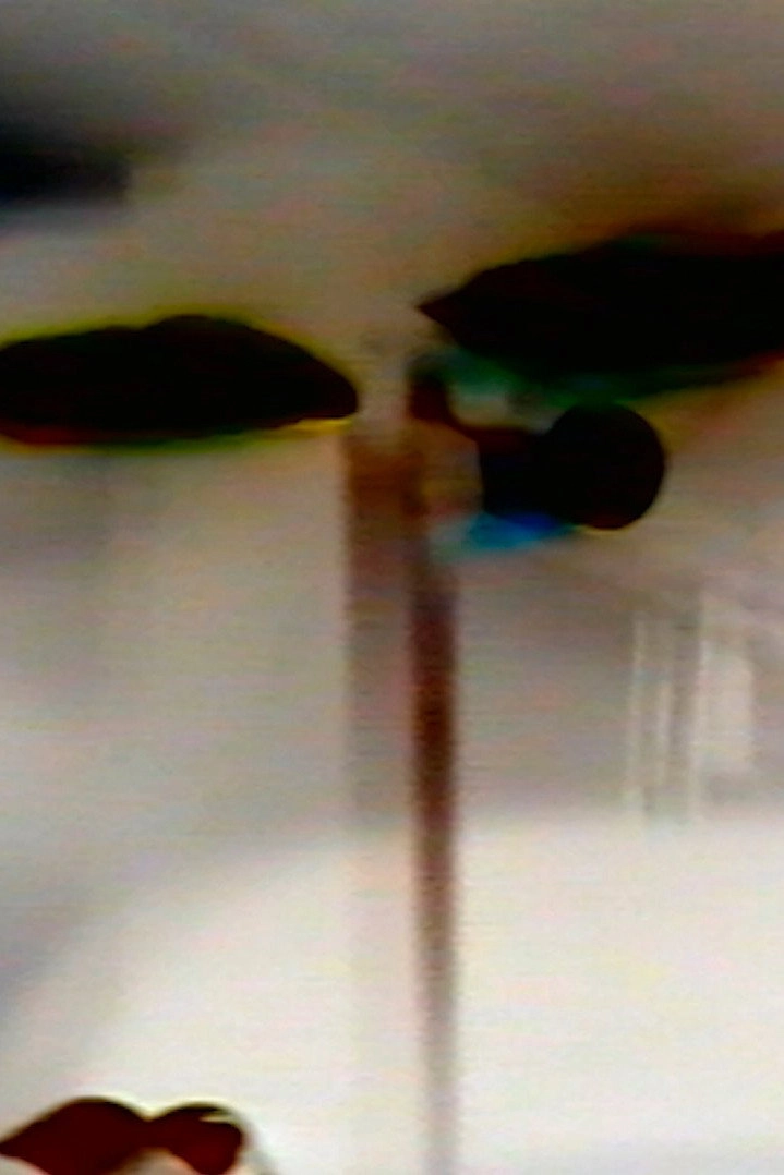 Partners