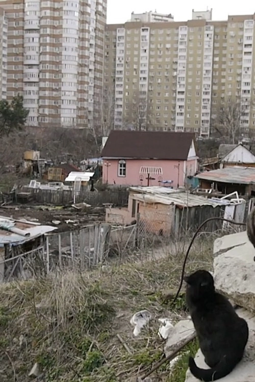 Among the Huts