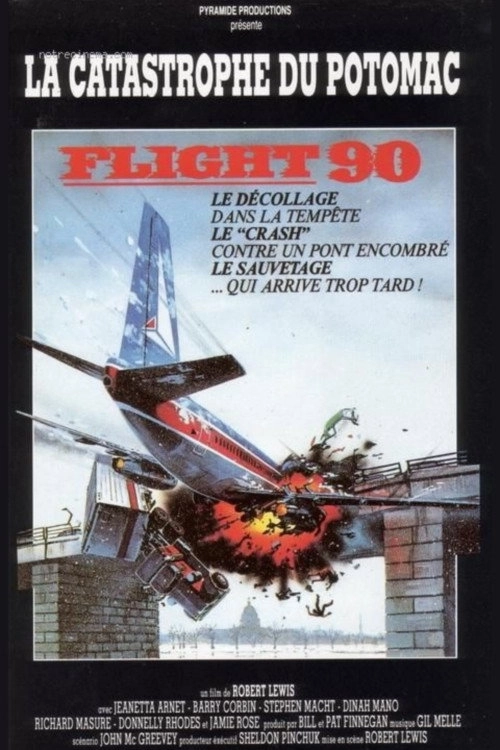 Flight 90: Disaster on the Potomac