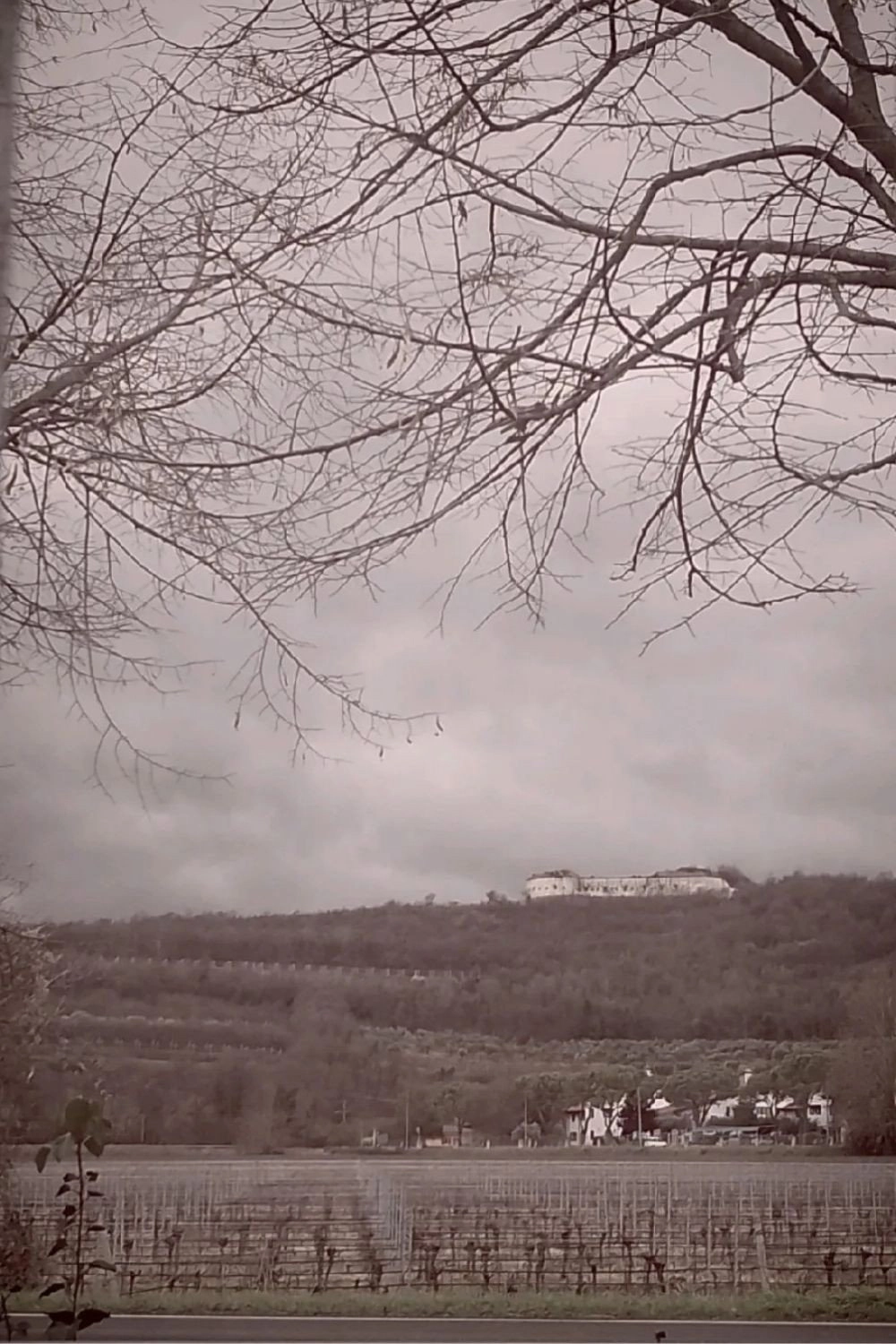 The Road, Chapter 1: Winter