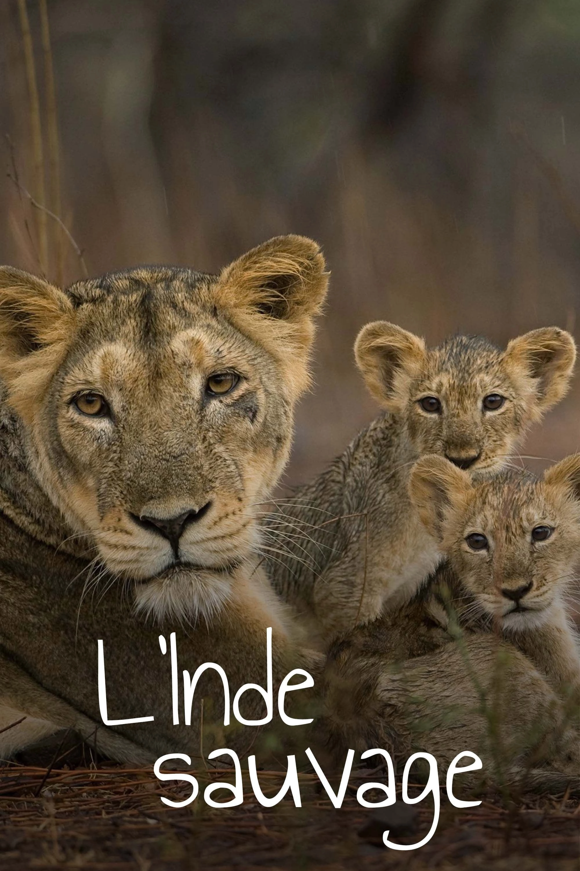Destination Wild: India