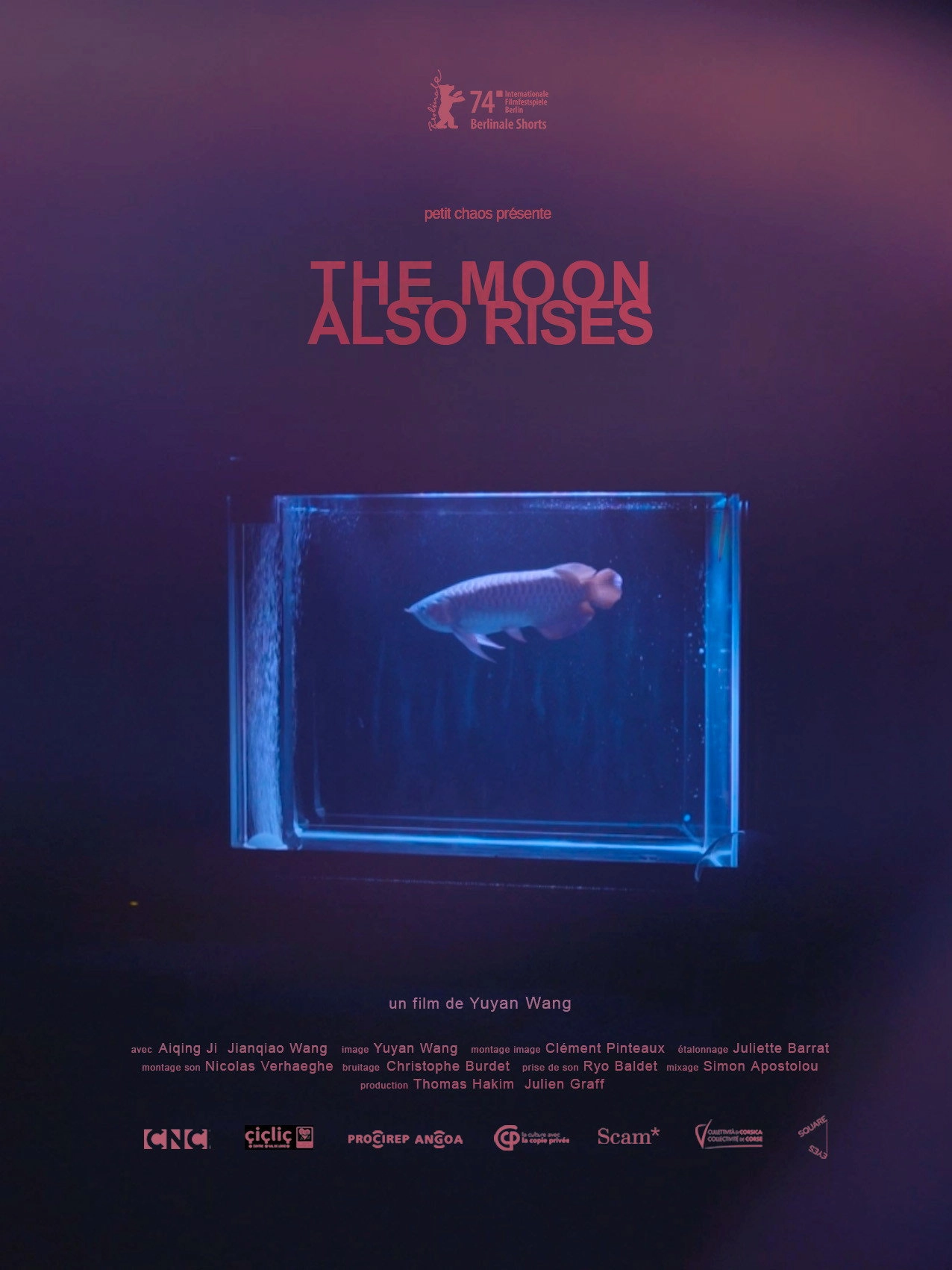 The Moon Also Rises
