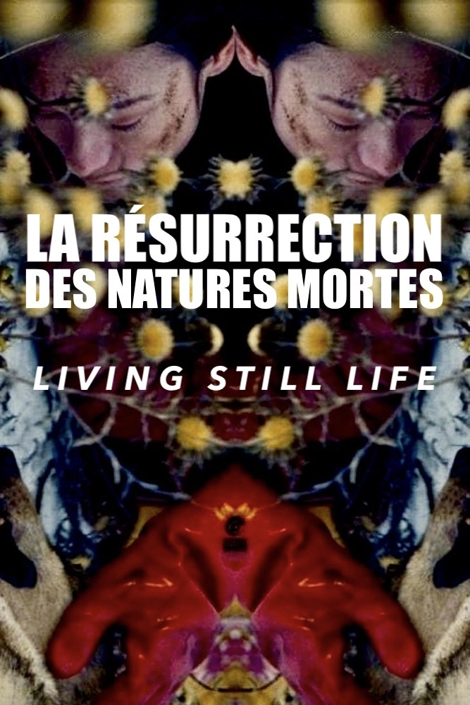 Living Still Life