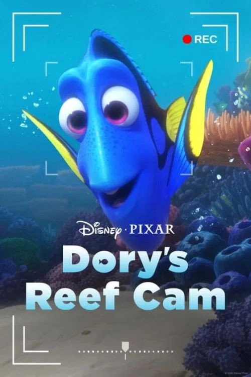DRC