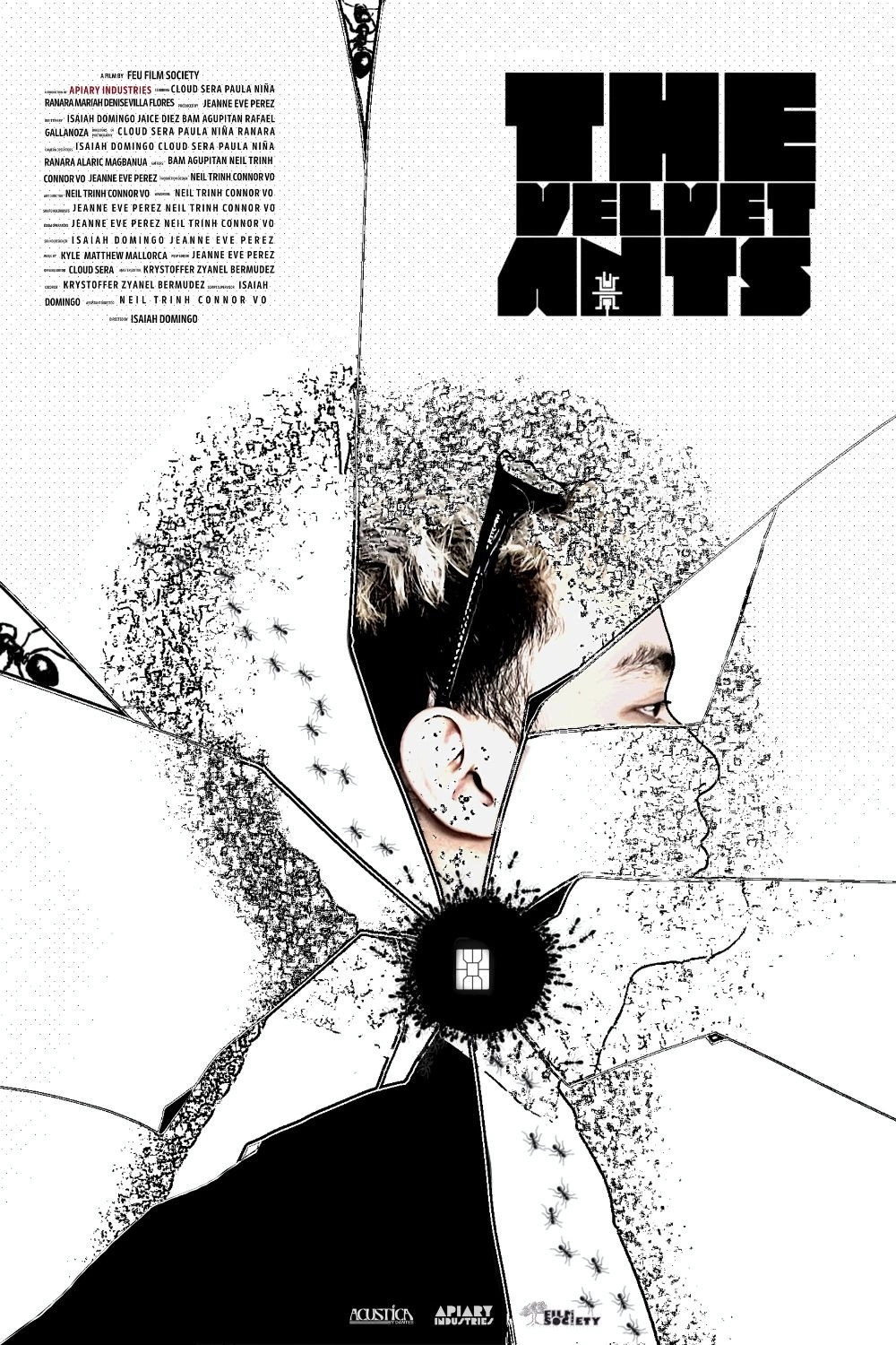 The Velvet Ants