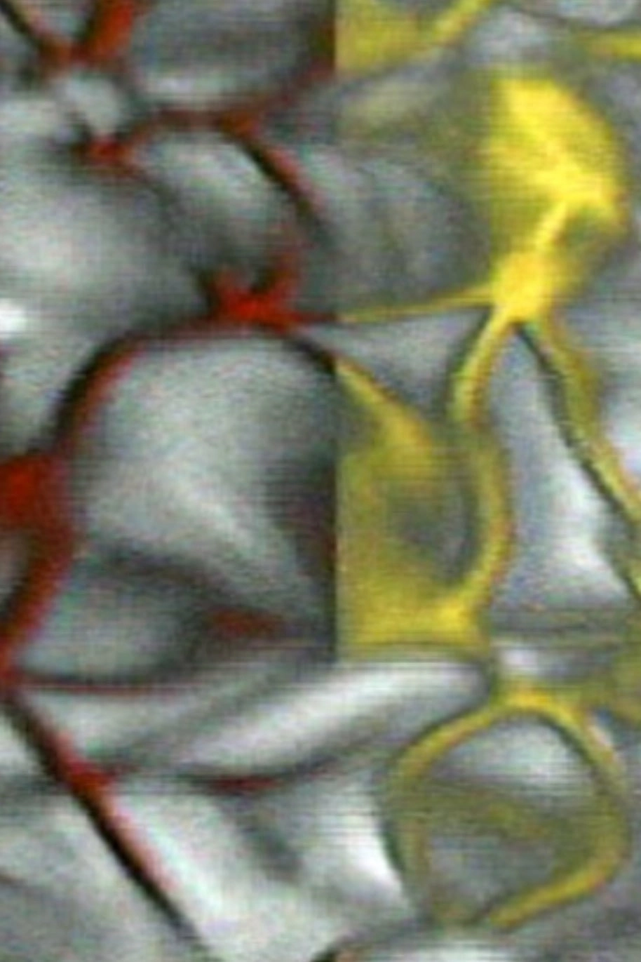 Split/Flow