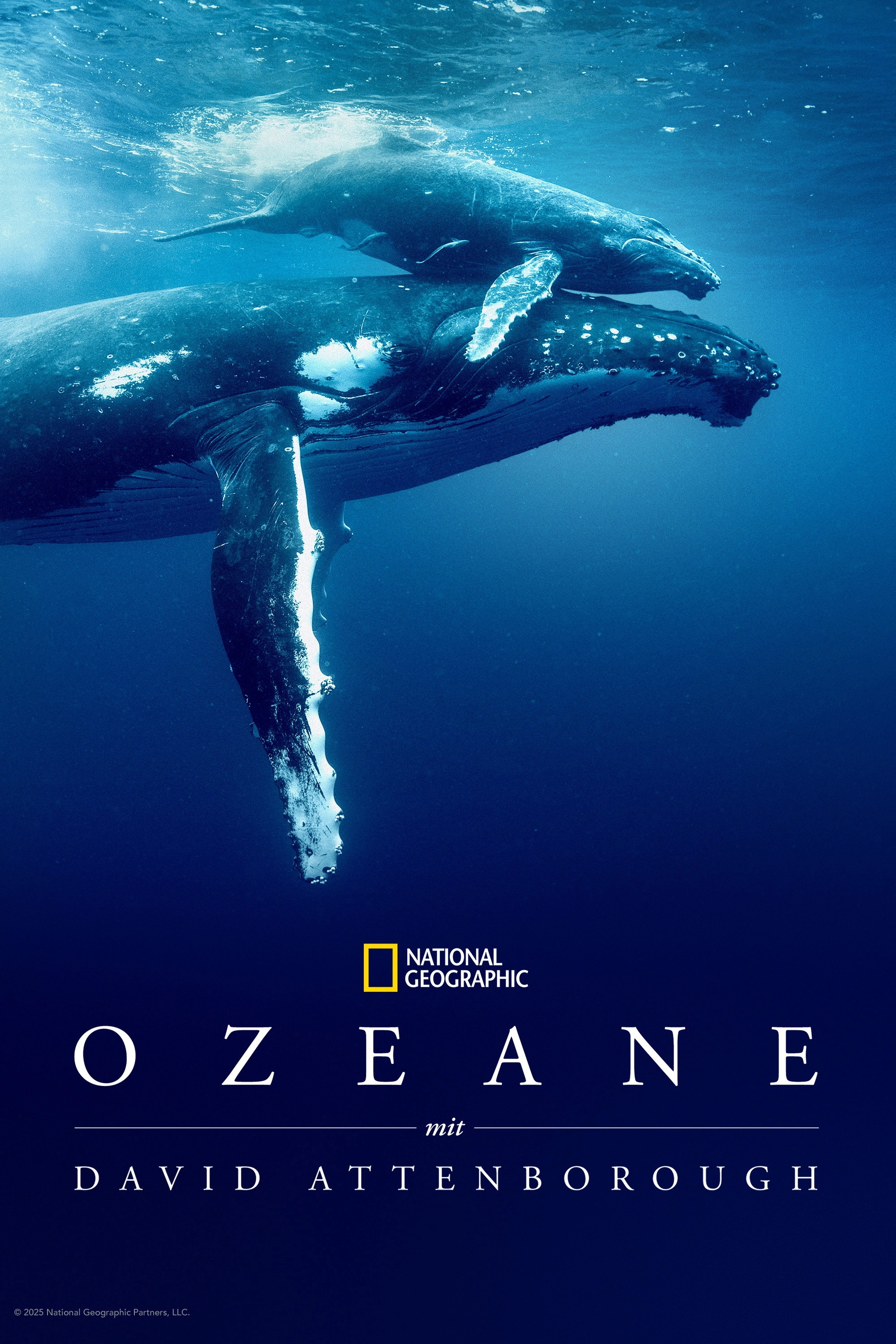 Ocean with David Attenborough