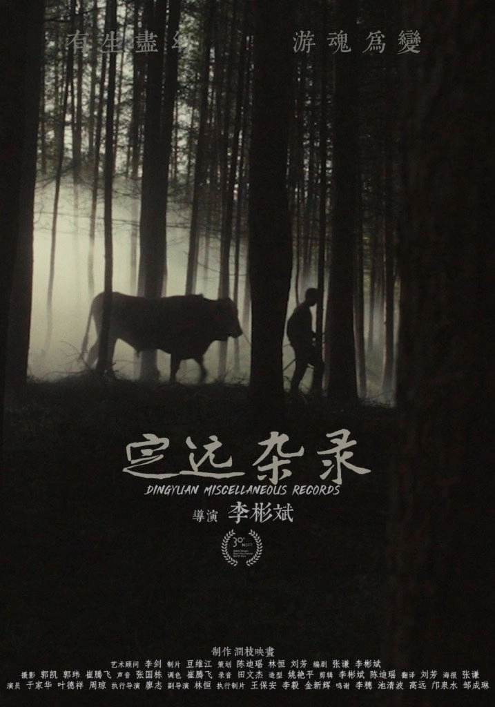 Dingyuan Miscellaneous Records
