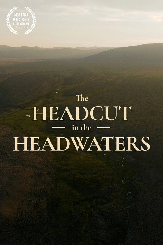 Restoring the Headwaters