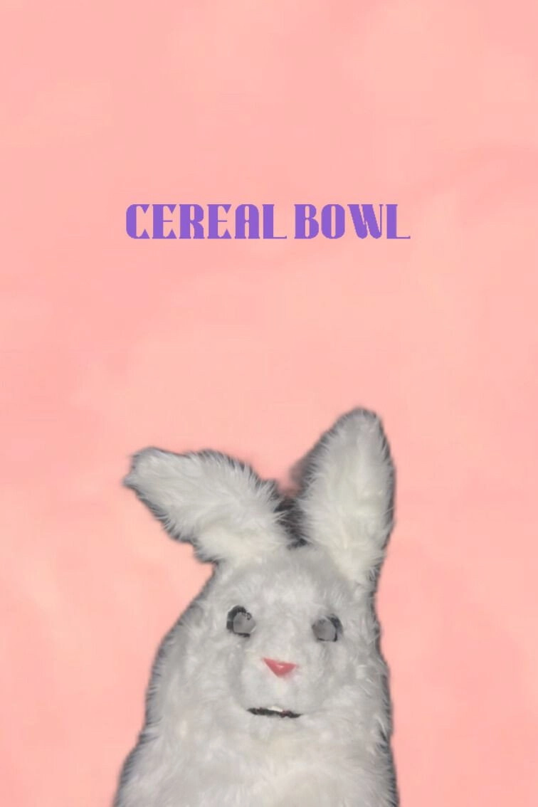 Cereal Bowl