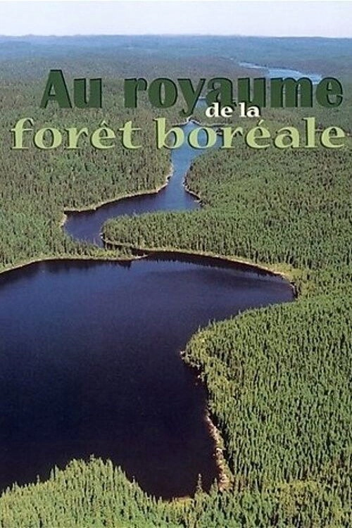 Au Royaume de la Forêt
