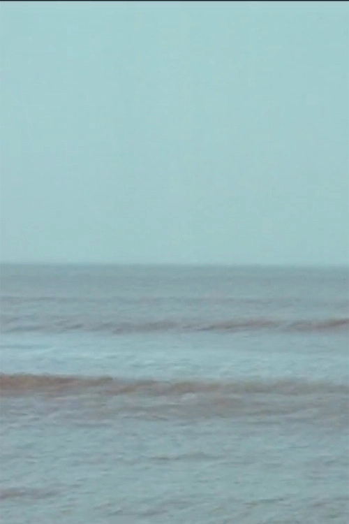 Vibrating Horizon