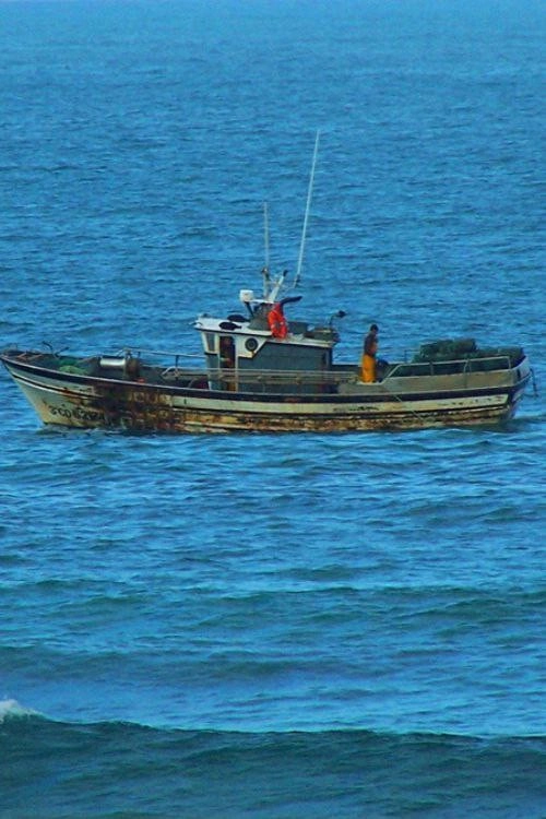 Anacos da Galiza