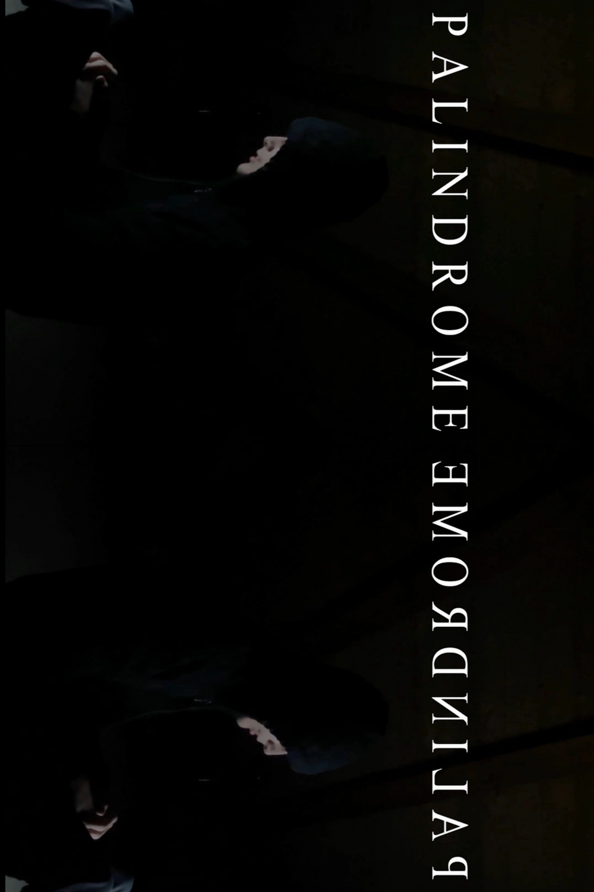 PalindromeemordnilaP