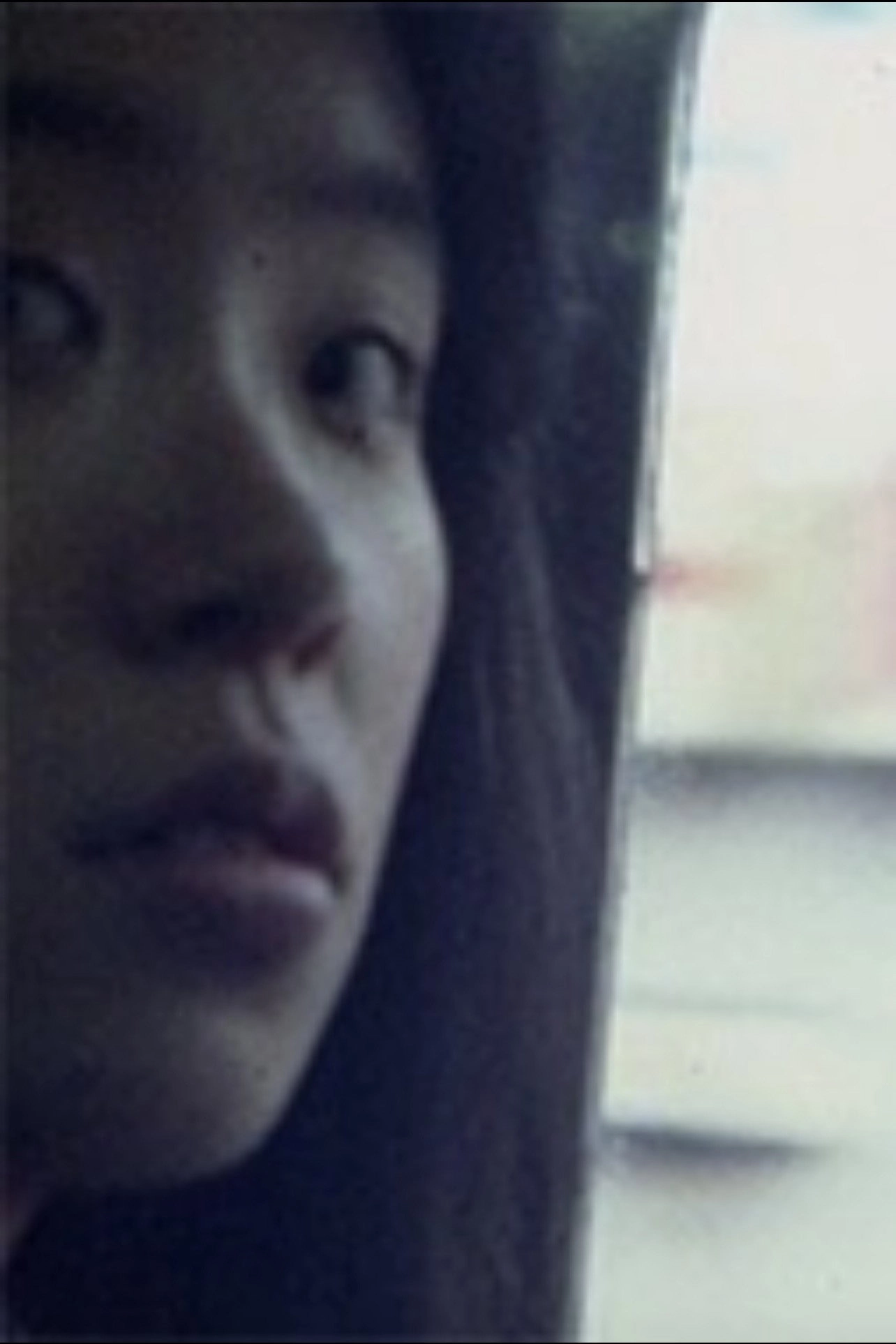 ヒメムカシヨモギ