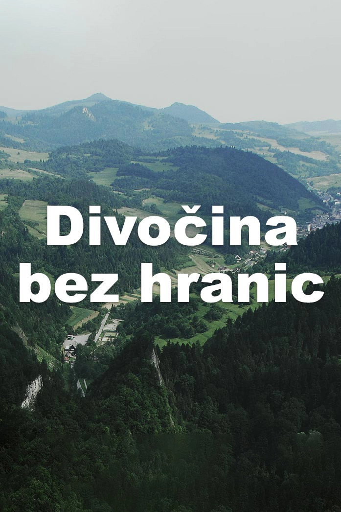 Divočina bez hranic