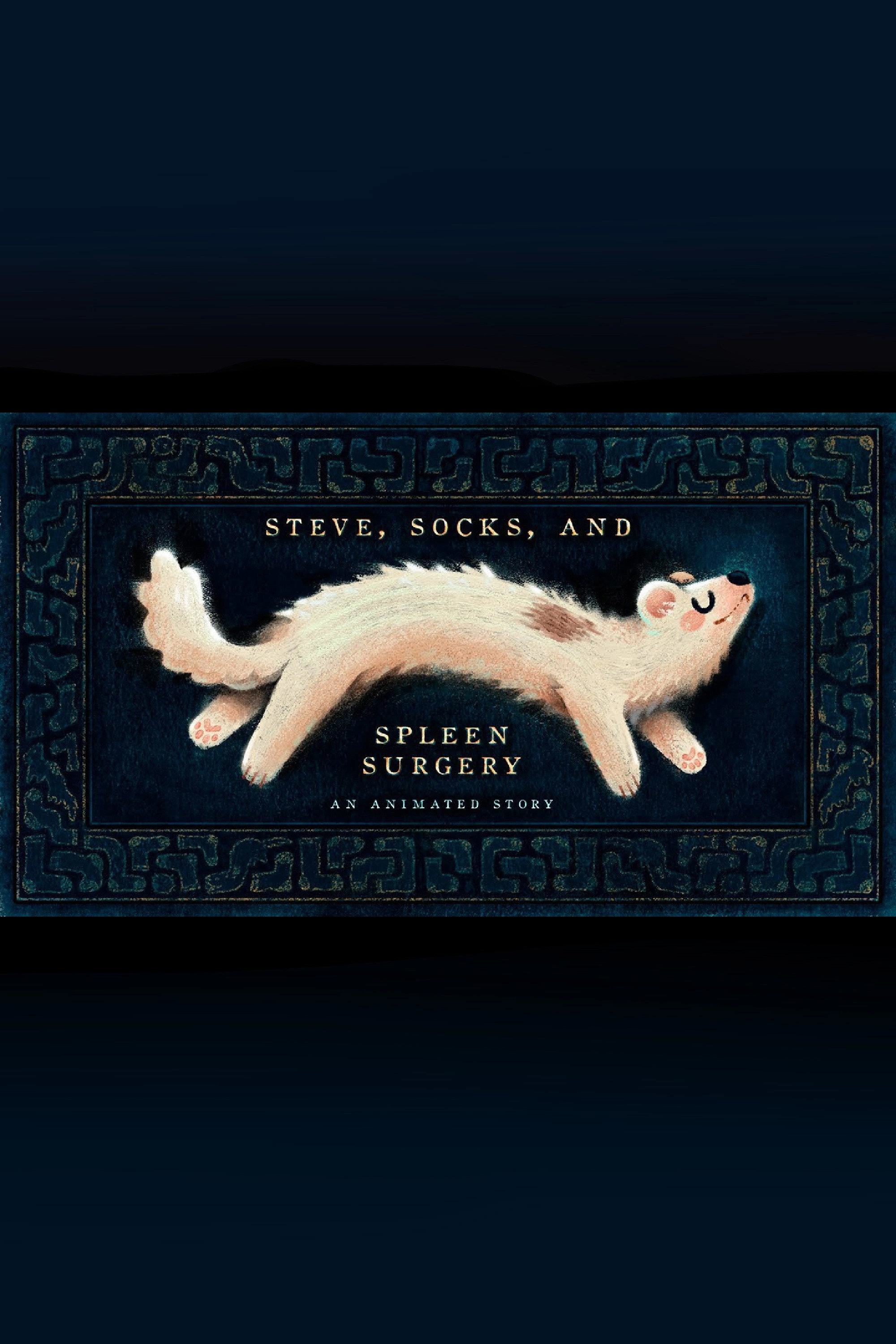 Steve, Socks, and Spleen Surgery