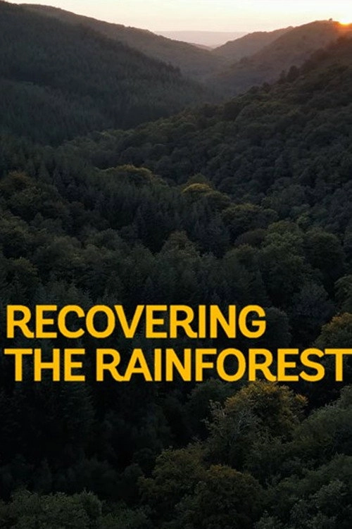 Recovering the Rainforest