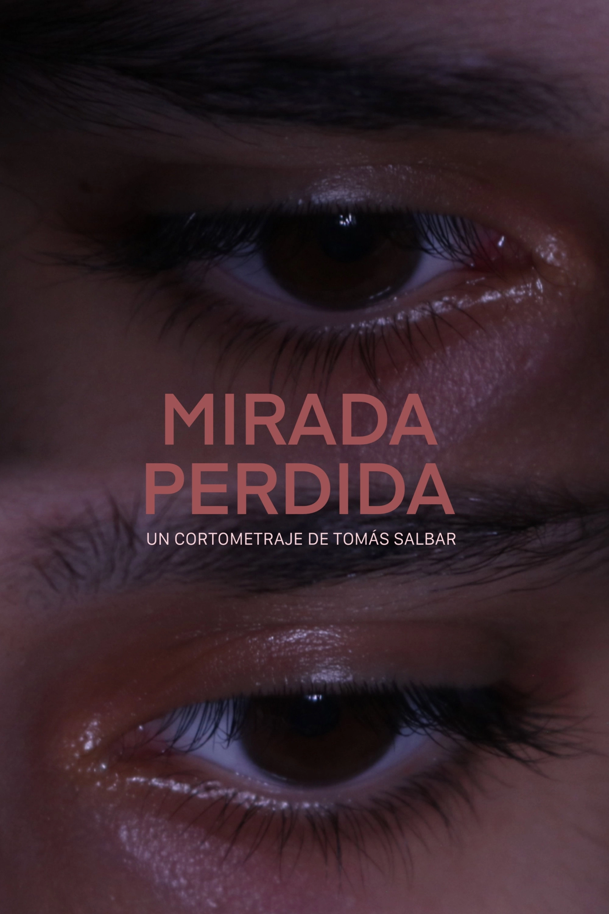Mirada Perdida