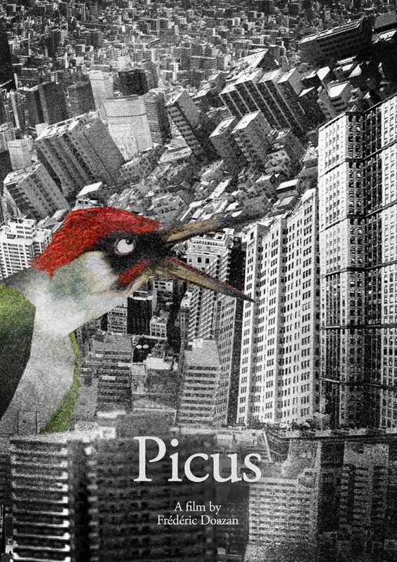 Picus