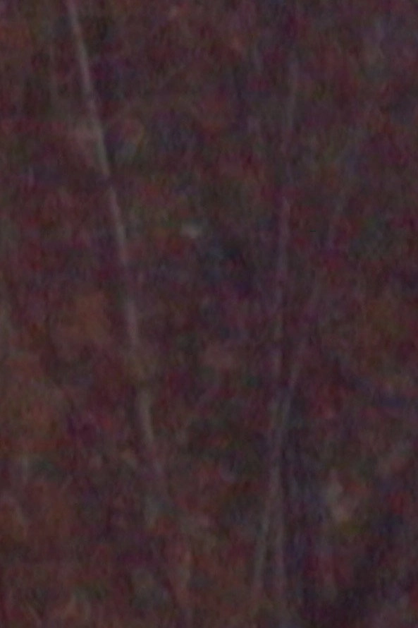 November