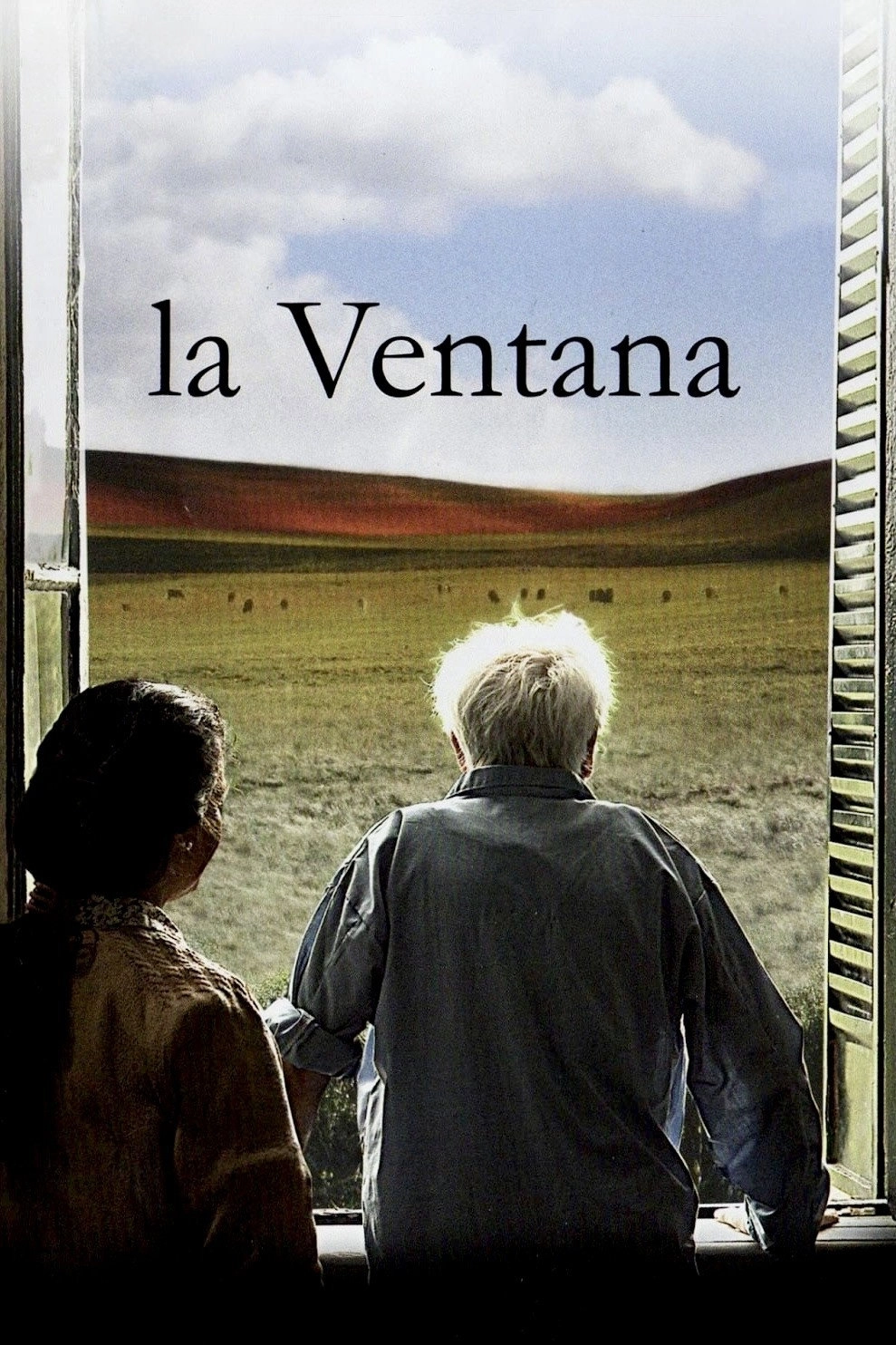 The Window