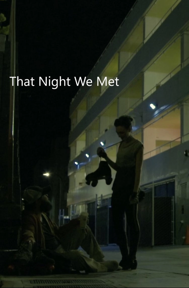 That Night we Met