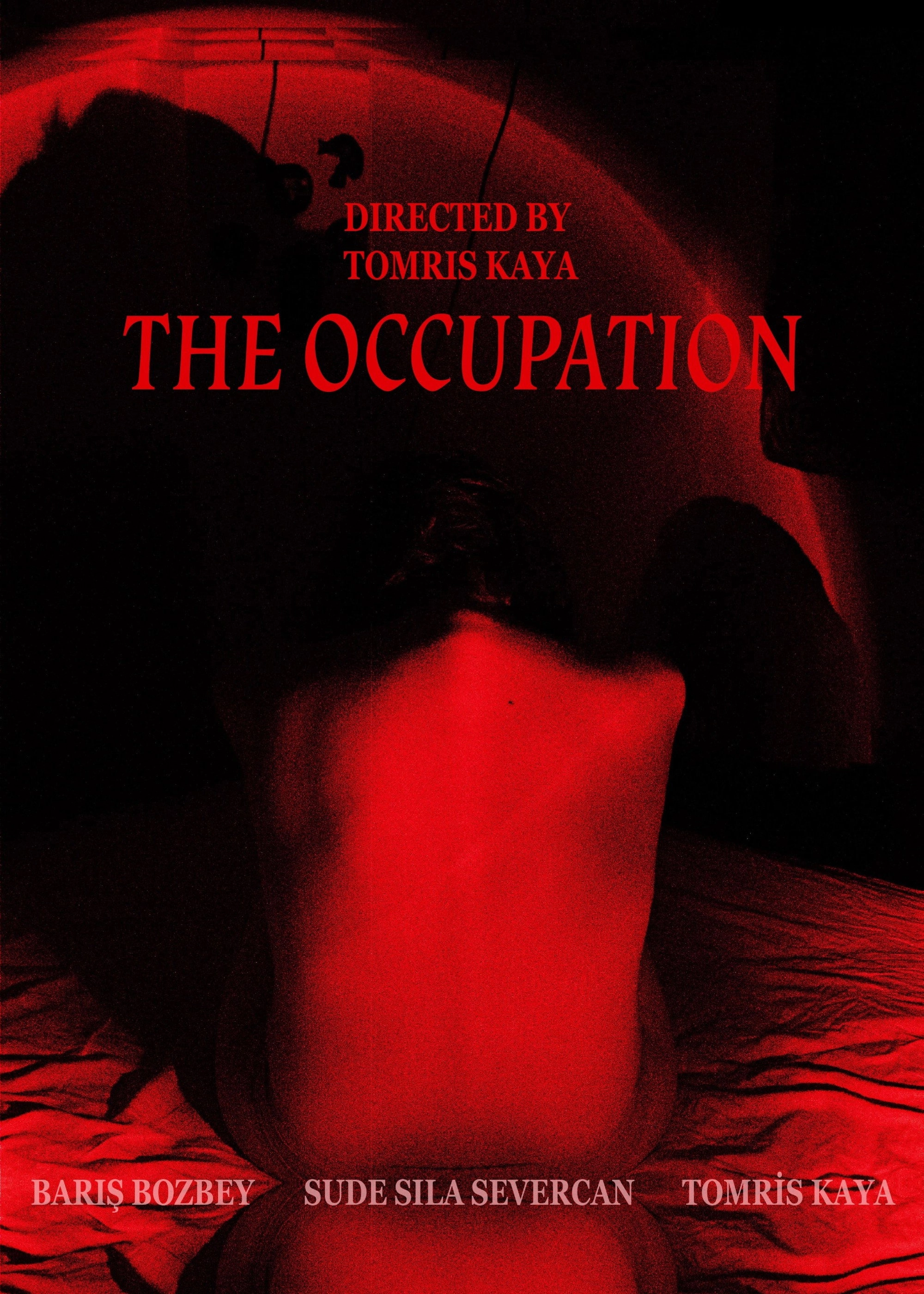 The Occupation